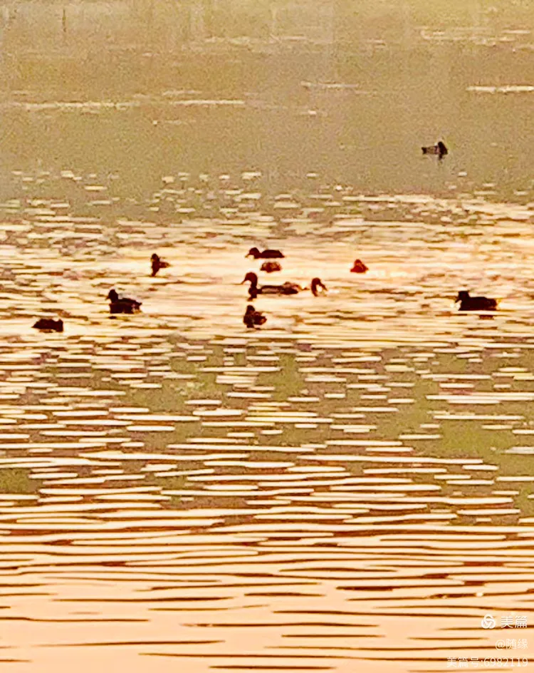 冬日里的和谐画面